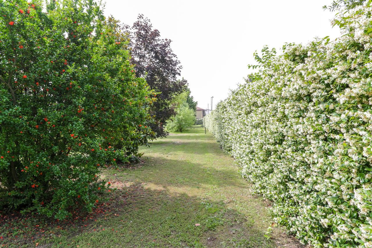 Residenza Cartiera 243 Country House Hotel Villorba Exterior photo